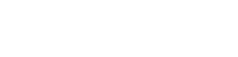 WellSense logo